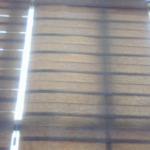 Profile photo of Shaheen MH