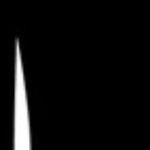 Profile photo of lone bear 20