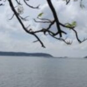 Profile photo of Sahan