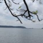 Profile photo of Sahan