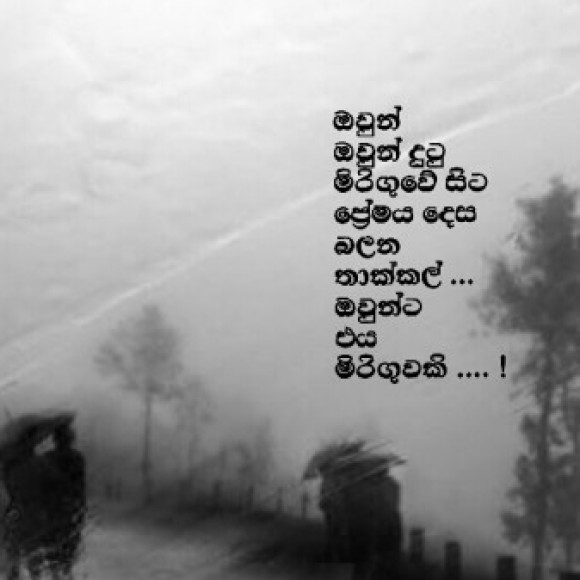 Profile picture of ruwin