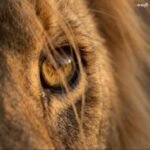 Profile photo of Gayan35