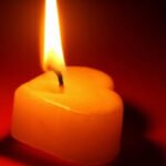 Profile photo of kibilover