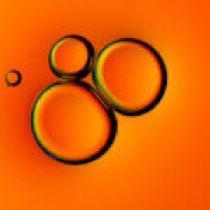 Profile photo of 54walluncle54
