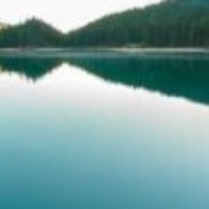 Profile photo of tharu20