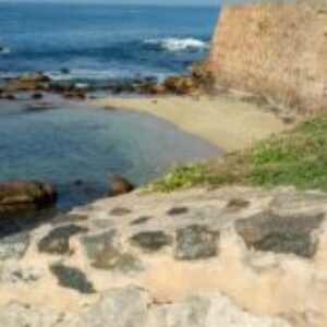 Profile photo of Sameera Sampath