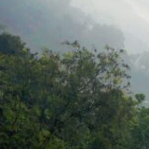 Profile photo of Randi