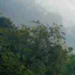 Profile photo of Randi