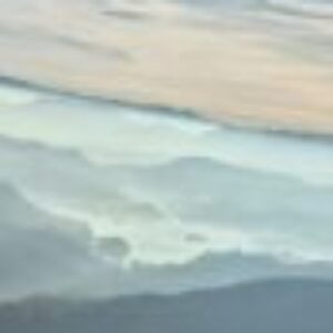 Profile photo of Hansi