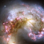 Profile photo of Dinesh