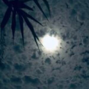 Profile photo of wishan