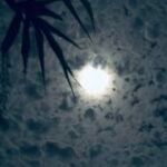 Profile photo of wishan