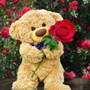 Profile photo of Kumara