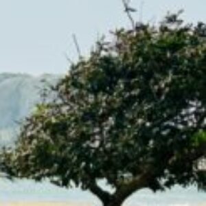 Profile photo of Doctor_bored