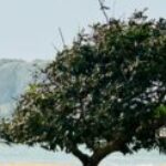 Profile photo of Doctor_bored