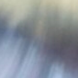 Profile photo of Presath