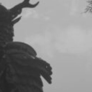 Profile photo of Madhushan Perera