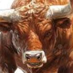 Profile photo of FunBull