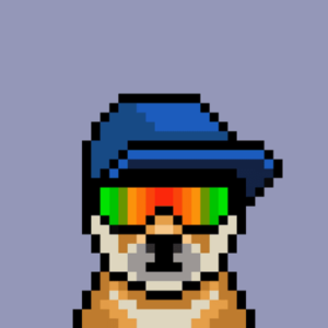 Profile photo of Sachin Alawatta