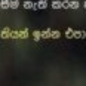 Profile photo of Jone