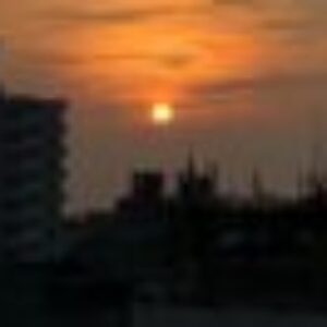 Profile photo of Senuka Fernando