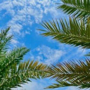 Profile photo of StuddMufff