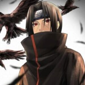 Profile photo of kavishka