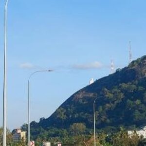 Profile photo of silva223#