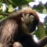 Profile photo of Sam