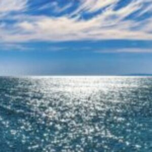 Profile photo of leschatonly