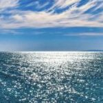 Profile photo of leschatonly