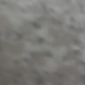 Profile photo of Sudesh