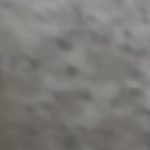 Profile photo of Sudesh