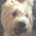 Profile photo of Loves_Child