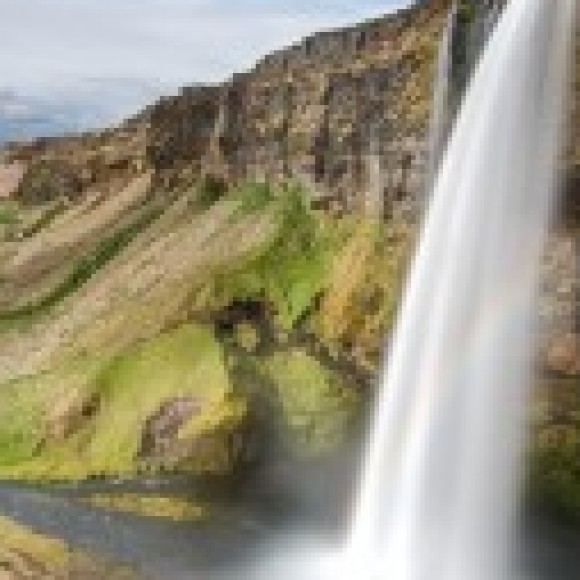 Profile picture of lakshan