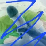 Profile photo of Pakaya