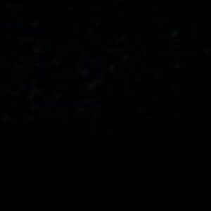 Profile photo of test