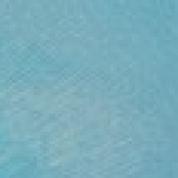 Profile picture of Darshi