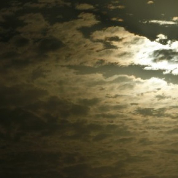 Profile photo of Ovindu