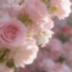 Profile photo of Nethu17