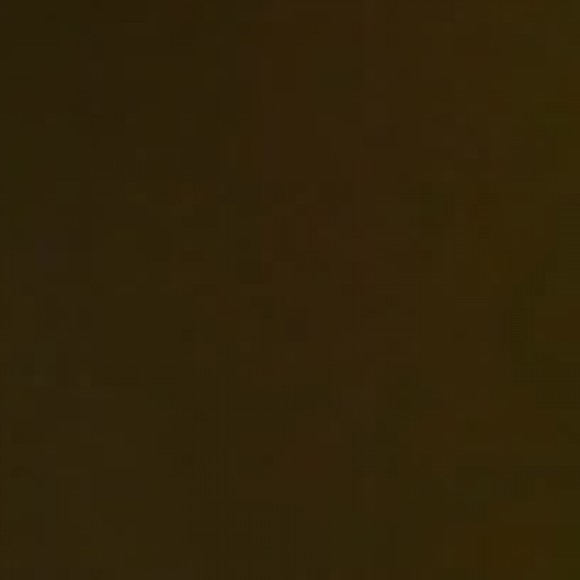 Profile picture of Dilan Fernandez