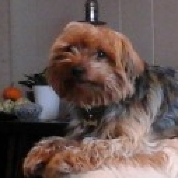 Profile photo of Don