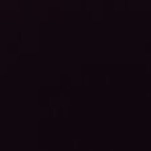 Profile photo of Dhaya