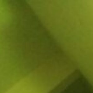 Profile photo of Keeper.M