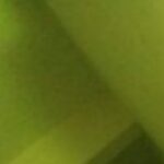 Profile photo of Keeper.M