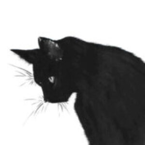 Profile photo of Visal
