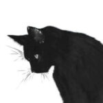 Profile photo of Visal
