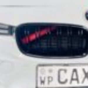 Profile photo of Vishwa
