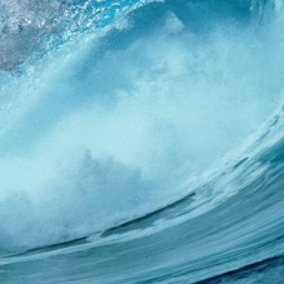 Profile photo of sugath