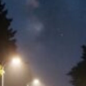 Profile photo of Thivanka